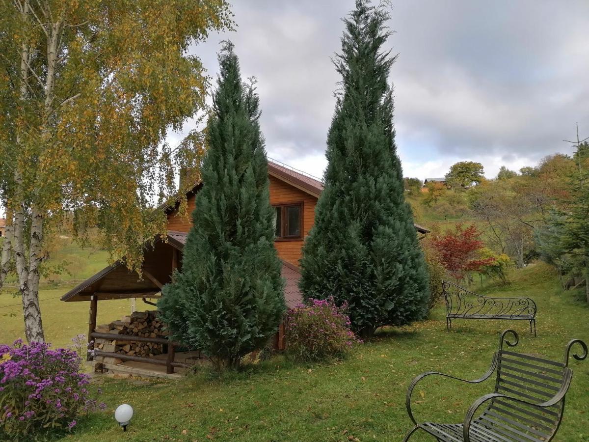 Casa Zara Villa Bran  Exterior photo