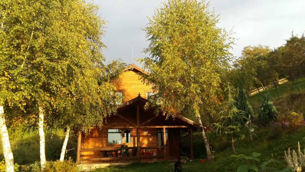 Casa Zara Villa Bran  Exterior photo